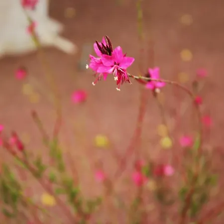 公寓 Apartamento Playa Blanca