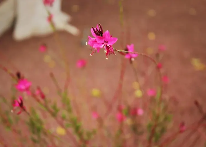 公寓 Apartamento Playa Blanca